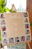 Baby First Birthday Monthly Photo & Stats Plaque
