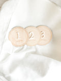 12 Month Baby Milestone Discs