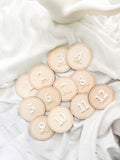12 Month Baby Milestone Discs