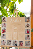 Baby First Birthday Monthly Photo & Stats Plaque