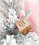 Baby's First Christmas Ornament