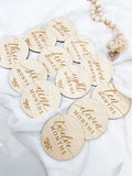 12 Month Baby Milestone Discs