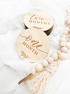 12 Month Baby Milestone Discs