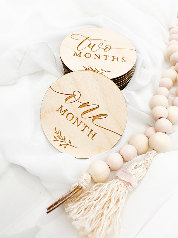 12 Month Baby Milestone Discs